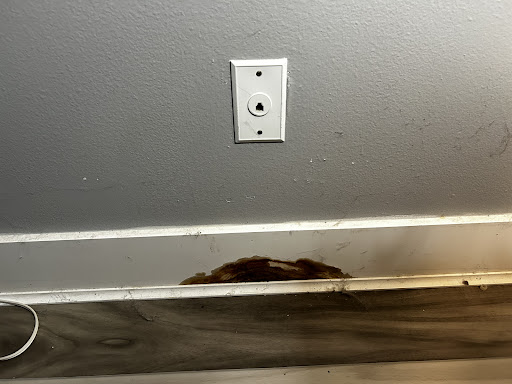 Photo from customer review